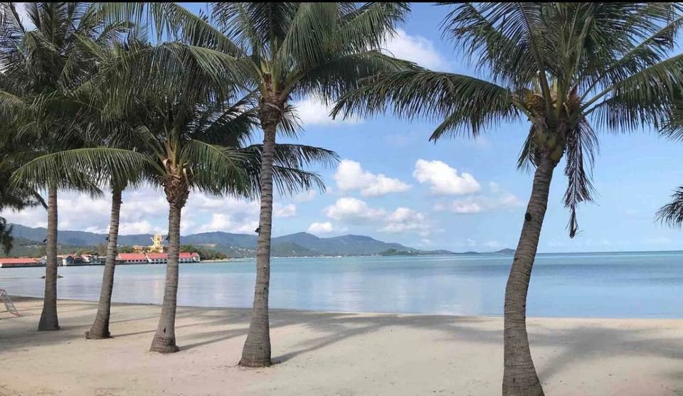 Luxury 4BR Beachfront Villa – Koh Samui