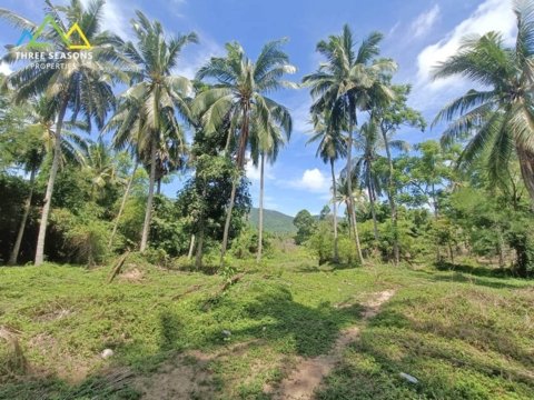 Very quiet jungle land next to ring road, in Koh Samui