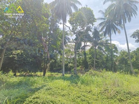 Very quiet jungle land next to ring road, in Koh Samui