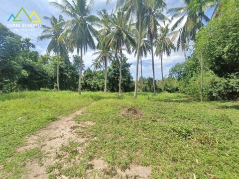 Very quiet jungle land next to ring road, in Koh Samui