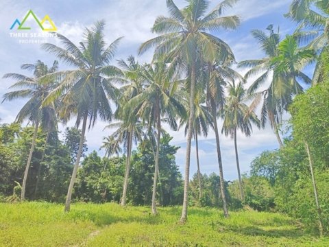 Very quiet jungle land next to ring road, in Koh Samui