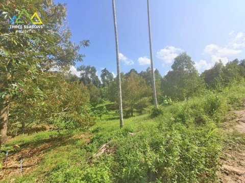 7,700 sqm Land with Stunning Jungle and Mountain Views in Maenam Soi 1, in Koh Samui