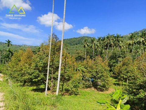 7,700 sqm Land with Stunning Jungle and Mountain Views in Maenam Soi 1, in Koh Samui