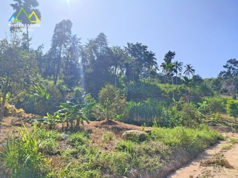 7,700 sqm Land with Stunning Jungle and Mountain Views in Maenam Soi 1, in Koh Samui