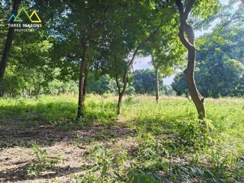 Development of 400sqm land plots ideally located, in Koh Samui