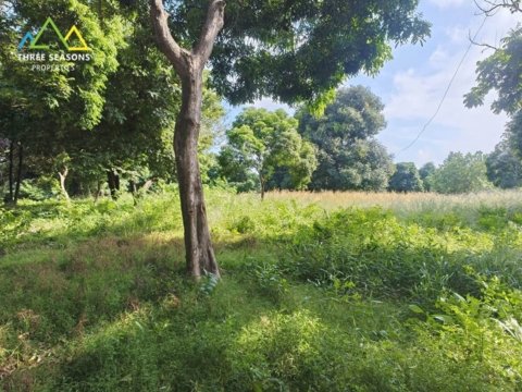 Development of 400sqm land plots ideally located, in Koh Samui