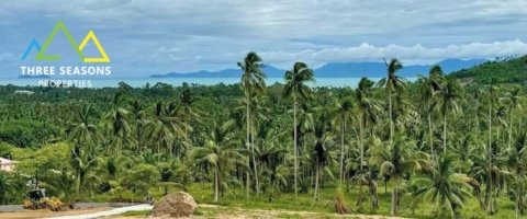 Superb Sea view land of 1 rai, very easy access in koh Samui