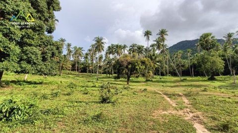 Paradise of Jungle in Koh Samui