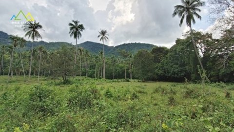 Paradise of Jungle in Koh Samui