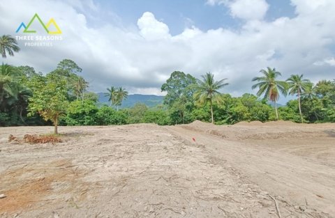 nice jungle lands @ 5 minutes from the center and Winfield International School, few plots available
