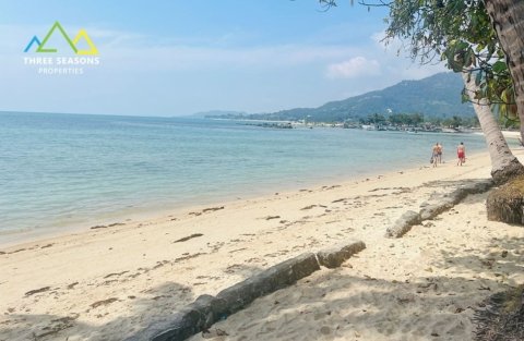 Rare Opportunity: Prime Beachfront Land in Lamai with Hotel License Potential! in Koh Samui